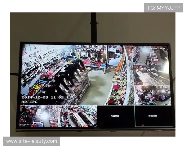 尼斯事件监控录像调取，辨识难度大